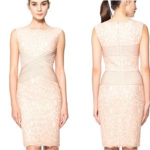Tadashi Toji Blush Pink Lace Dress Pintuck Jersey Waist Size 12